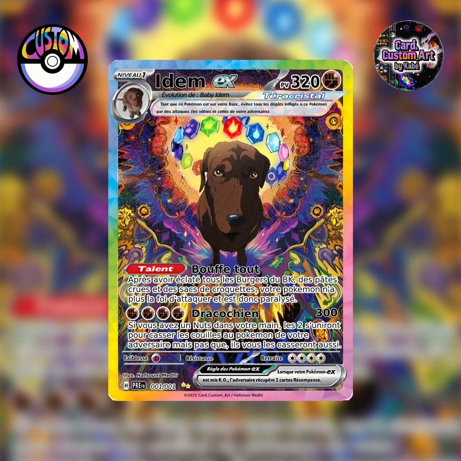 Pokémon Custom
